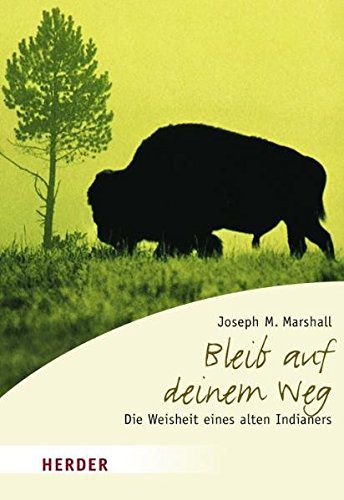 Die Weisheiten Eines Alten Indianers Buch Rezension Und Leseprobe Inspirierende Geschichten